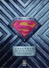 Superman: os Arquivos Secretos do Homem de Aço Superman: os Arquivos Secretos do Homem de Aço
