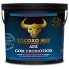 Suplementação Bovinos Bezerros Engordar Boi Vacas Touro 01kg Suplementação Bovinos Bezerros Engordar Boi Vacas Touro 01kg