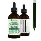 Suplemento 360 Nutrition Matcha Chlorophyll Liquid Drops