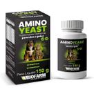 Suplemento Alimentar com Prebióticos e Probióticos AminoYeast para Cães e Gatos - 150g - Biofarm