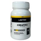 Suplemento Alimentar Creatina Lavitan Cimed 100 Cápsulas