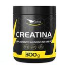 Suplemento Alimentar Creatina Monoidratada 300g