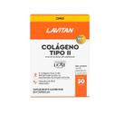 Suplemento Alimentar Lavitan Colágeno Tipo II 30 Caps Cimed