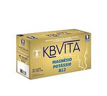Suplemento Alimentar Magnésio Potássio Kb Vita 60 Caps