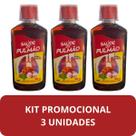 Suplemento Alimentar Nectamel S do Pulmão Frasco 300ml Kit 3 Unidades