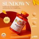 Suplemento Alimentar Sundown Vitamina C 500mg 100 Comprimidos