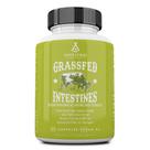 Suplemento Ancestral de Intestino Bovino Alimentado com Capim