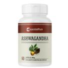 Suplemento Ashw 500mg 60 Cápsulas Original Natural
