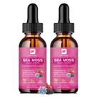 Suplemento B Sea Moss BEWORTHS - Gotas Líquidas 120ml com Óleo de Semente Preta