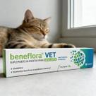 Suplemento Beneflora Avert Pasta Probiótica 14g Cães E Gatos