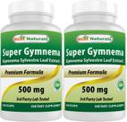 Suplemento Best Naturals Gymnema Sylvestre Extract 500 mg x 120 cápsulas