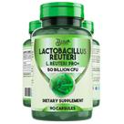Suplemento BLIVA Lactobacillus Reuteri 50 bilhões de CFU 90 cápsulas Suplemento BLIVA Lactobacillus Reuteri 50 bilhões de CFU 90 cápsulas