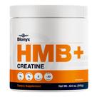 Suplemento Blonyx HMB + Creatina com 30 dias de uso para atletas