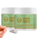 Suplemento Cachorro Forte Vovô e Vovó KIT 2 UNIDADES Suporte Articular para Cães Com Condroitina e Glucosamina para Mobilidade Canina VeterinUp