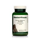 Suplemento canino Standard Process Adrenal Support 100g Suplemento canino Standard Process Adrenal Support 100g