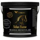 Suplemento Cavalo Engordar Selus Horse Massa Muscular 05kg Suplemento Cavalo Engordar Selus Horse Massa Muscular 05kg