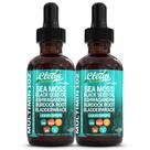 Suplemento Clean Nutraceuticals Sea Moss Drops com óleo de semente preta