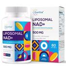 Suplemento Corllia Lipossomal NAD+ 500 mg com TMG 250 mg 60 porções