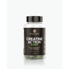 Suplemento Creatina Essential Nutrition Monohidratada 240G Maçã Verde em Gomas 60 Unid Suplemento Creatina Essential Nutrition Monohidratada 240G Maçã Verde em Gomas 60 Unid