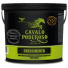 Suplemento Crescimento Cavalo Poderoso Potros 2,5kg Rápida Absorção Suplemento Crescimento Cavalo Poderoso Potros 2,5kg Rápida Absorção