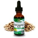 Suplemento de 30 ml de extrato de raiz de astrágalo Nature's Answer