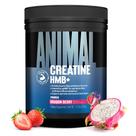 Suplemento de Creatina Animal HMB em pó Sabor Dragon Berry Suplemento de Creatina Animal HMB em pó Sabor Dragon Berry