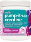 Suplemento de creatina Wellah Pump-It-Up 50 porções de mirtilo