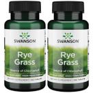 Suplemento de ervas de 500 mg de centeio Swanson, 120 comprimidos, pacote com 2