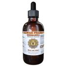 Suplemento de ervas de extrato líquido Hawaii Pharm Rehmannia 60mL