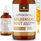 Suplemento de ervas Extrato de raiz de Vuvionoso Goldenseal 90mL 3000mg