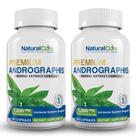 Suplemento de ervas Natural Cure Labs Andrographis 1200 mg 120 ct Suplemento de ervas Natural Cure Labs Andrographis 1200 mg 120 ct