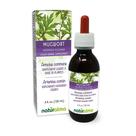 Suplemento de ervas Naturalma, tintura de artemísia, 120 ml, sem álcool