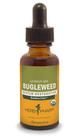 Suplemento de extrato de erva-doce Herb Pharm 30 ml para suporte do sistema endócrino Suplemento de extrato de erva-doce Herb Pharm 30 ml para suporte do sistema endócrino