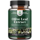 Suplemento de extrato de folha de oliveira Natures Craft 20% de oleuropeína
