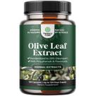 Suplemento de extrato de folha de oliveira Natures Craft 20% de oleuropeína
