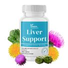 Suplemento de limpeza do fígado DR VITAMIN SOLUTIONS Milk Thistle
