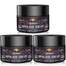 Suplemento de resina Ajoblanco Shilajit 600 mg, pacote x3 do Himalaia