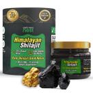 Suplemento de resina Wellness Nest Shilajit 30g com ouro 24k