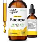 Suplemento de tintura de bacopa selvagem e orgânica, fornecimento de 60 ml para 2 meses
