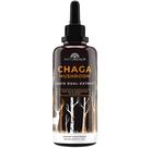 Suplemento de tintura de cogumelos Naturealm Chaga 120 ml 2 meses Suplemento de tintura de cogumelos Naturealm Chaga 120 ml 2 meses