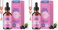 Suplemento de Zinco Infantil JoySpring ZincBerry 60 ml Sabugueiro Suplemento de Zinco Infantil JoySpring ZincBerry 60 ml Sabugueiro