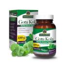 Suplemento dietético Nature's Answer Gotu Kola 60 cápsulas veganas