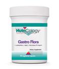 Suplemento do Grupo de Pesquisa em Alergia Nutricologia Gastro Flora