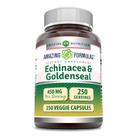 Suplemento Echinacea Goldenseal Amazing Nutrition 450 mg 250 cápsulas