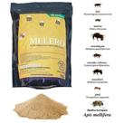 Suplemento Energético Com Probótico Para Abelhas Melero 1kg
