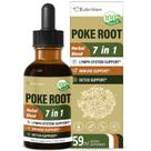 Suplemento Eubrition Poke Root Drops Linph System Support