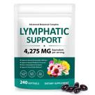 Suplemento FANSHI Drenagem Linfática 240 Cápsulas Softgel à Base de Ervas Suplemento FANSHI Drenagem Linfática 240 Cápsulas Softgel à Base de Ervas