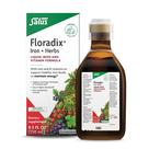 Suplemento Floradix Iron & Herbs 250ml com vitamina C e complexo B