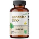Suplemento Futurebiotics Dandelion Root 1500 mg 120 cápsulas