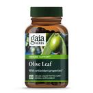 Suplemento Gaia Herbs Olive Leaf Extract 60 cápsulas veganas